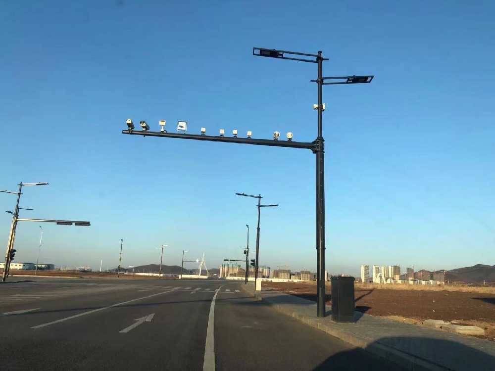 新泰市黑龙江佳木斯综合路灯杆项目