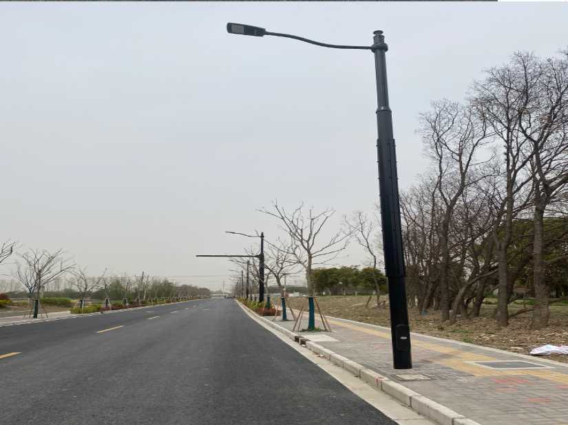 新泰市上海综合杆 太阳能路灯工程